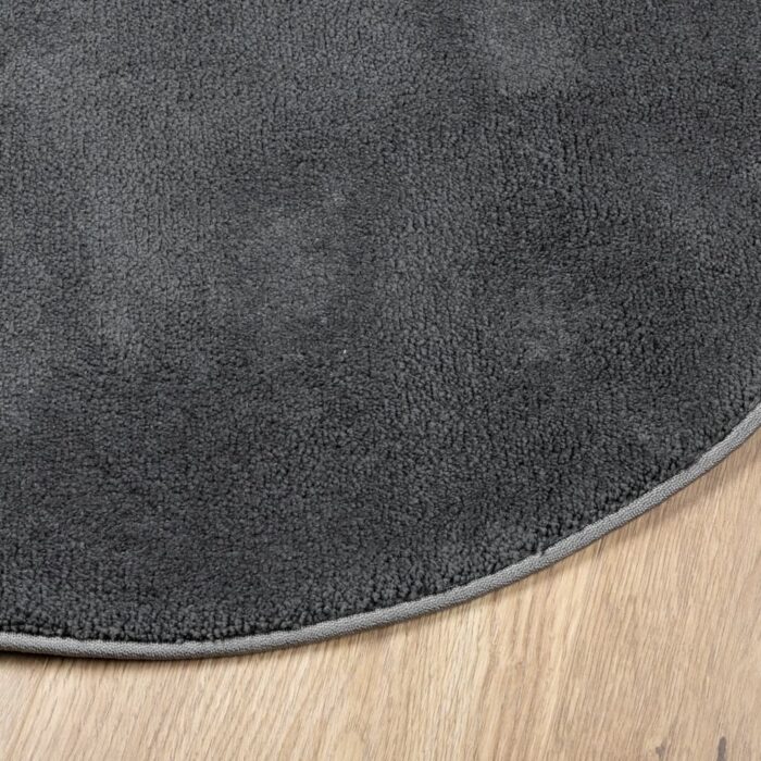 Tapis OVIEDO à poils courts anthracite Ø 120 cm – Image 2