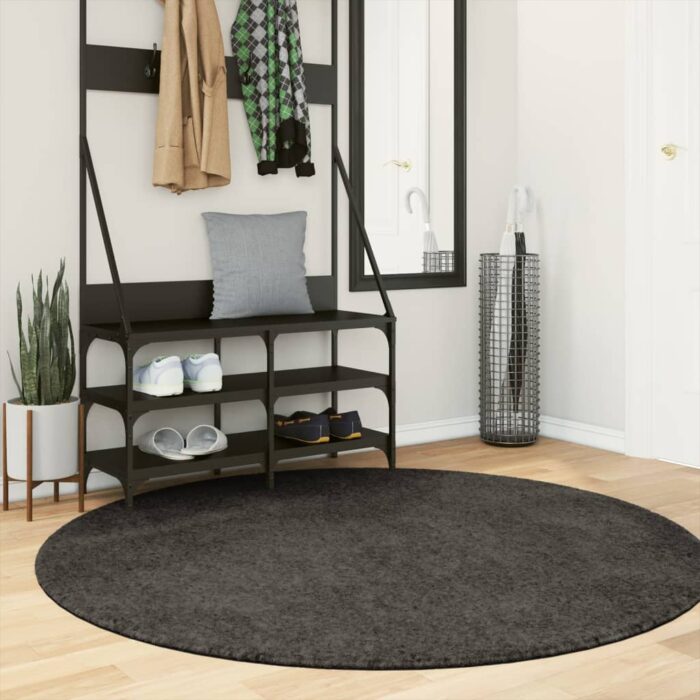 Tapis ISTAN à poils longs aspect brillant anthracite Ø 160 cm – Image 1