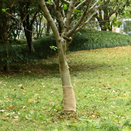 Rouleau de jute 0,25x100 m 100 % jute 200 g/m²