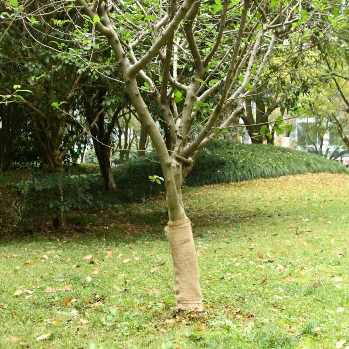 Rouleau de jute 0,5x25 m 100 % jute 200 g/m² – Image 1