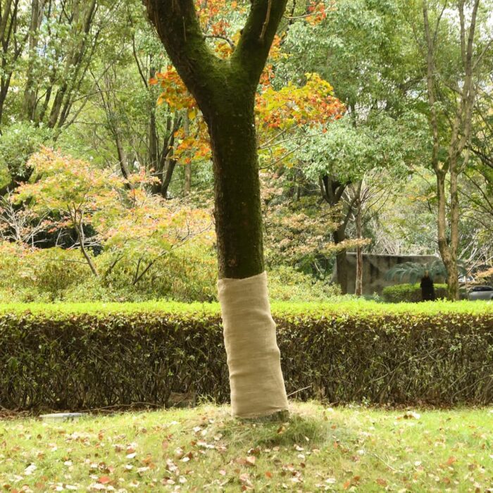 VXL8721012307759_m_en_hd_1.jpg Rouleau de jute 1x25 m 100 % jute 200 g/m² – Image 1