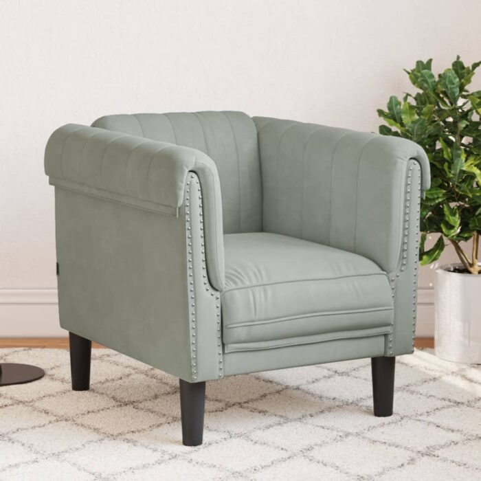 Fauteuil gris clair Velours – Image 1