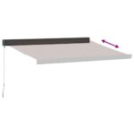 Auvent manuel rétractable marron 300x250 cm – Image 3