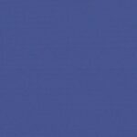 Auvent latéral rétractable bleu 117x300 cm – Image 7
