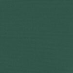 Auvent latéral rétractable vert foncé 220x500 cm – Image 7