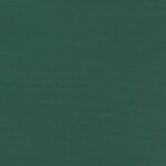 Auvent latéral rétractable vert foncé 220x600 cm – Image 7