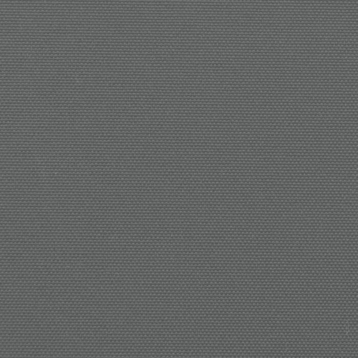 Auvent latéral rétractable anthracite 100x600 cm – Image 7