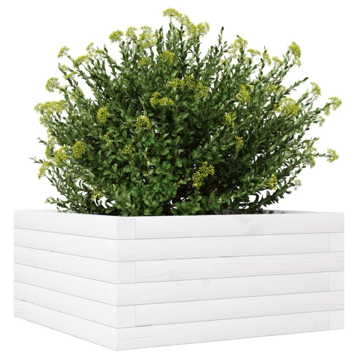 Jardinière blanc 50x50x23 cm bois de pin massif – Image 2