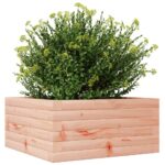 Jardinière 50x50x23 cm bois massif douglas – Image 2