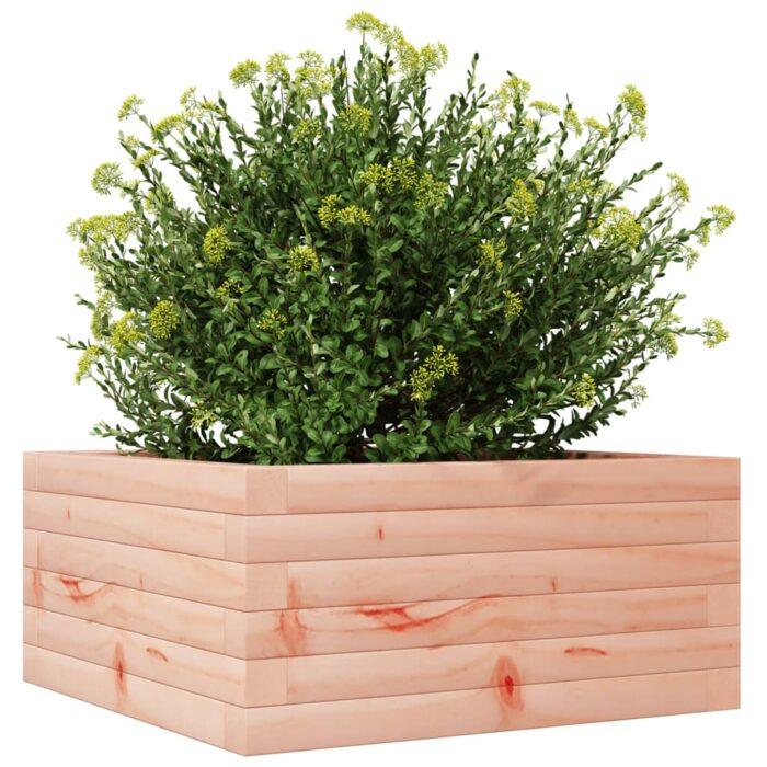 Jardinière 50x50x23 cm bois massif douglas – Image 2
