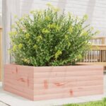 Jardinière 60x60x23 cm bois massif douglas