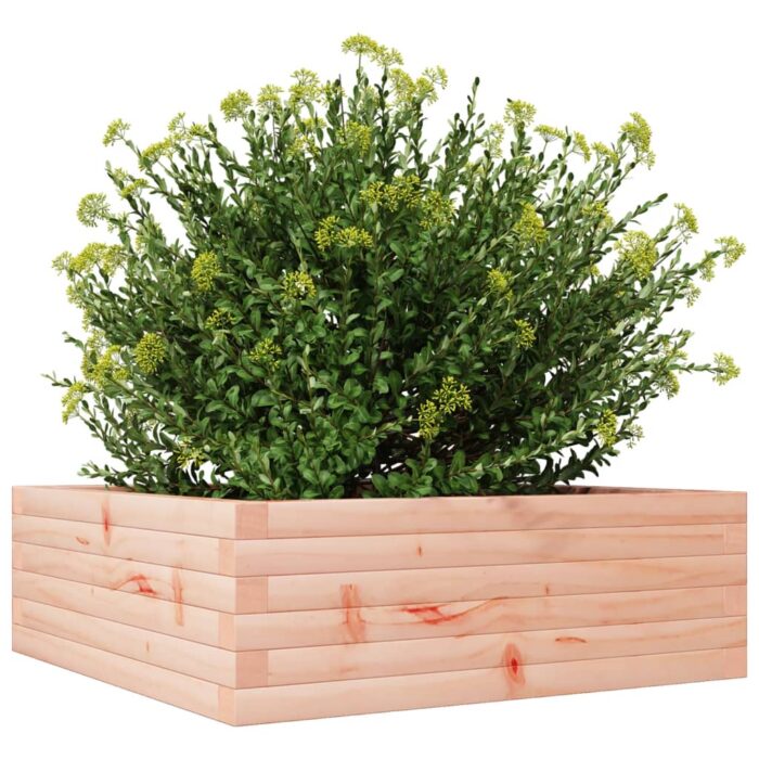 Jardinière 70x70x23 cm bois massif douglas – Image 2