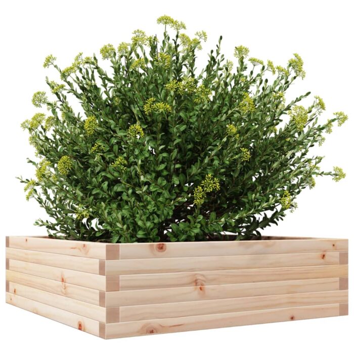 Jardinière 80x80x23 cm bois de pin massif – Image 2