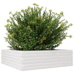 Jardinière blanc 80x80x23 cm bois de pin massif – Image 2