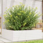 Jardinière blanc 80x80x23 cm bois de pin massif