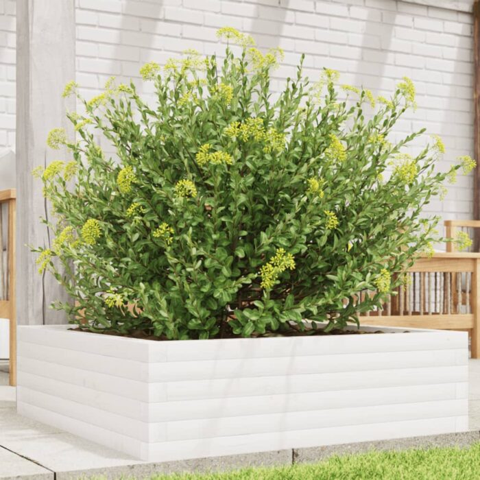 Jardinière blanc 80x80x23 cm bois de pin massif – Image 1
