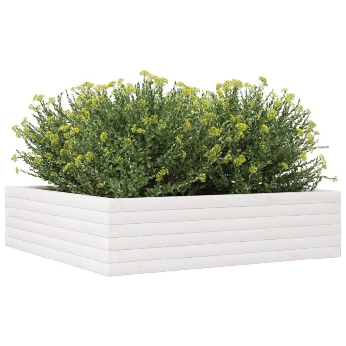 Jardinière blanc 90x90x23 cm bois de pin massif – Image 2