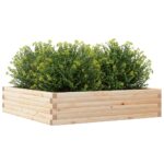 Jardinière 100x100x23 cm bois de pin massif – Image 2
