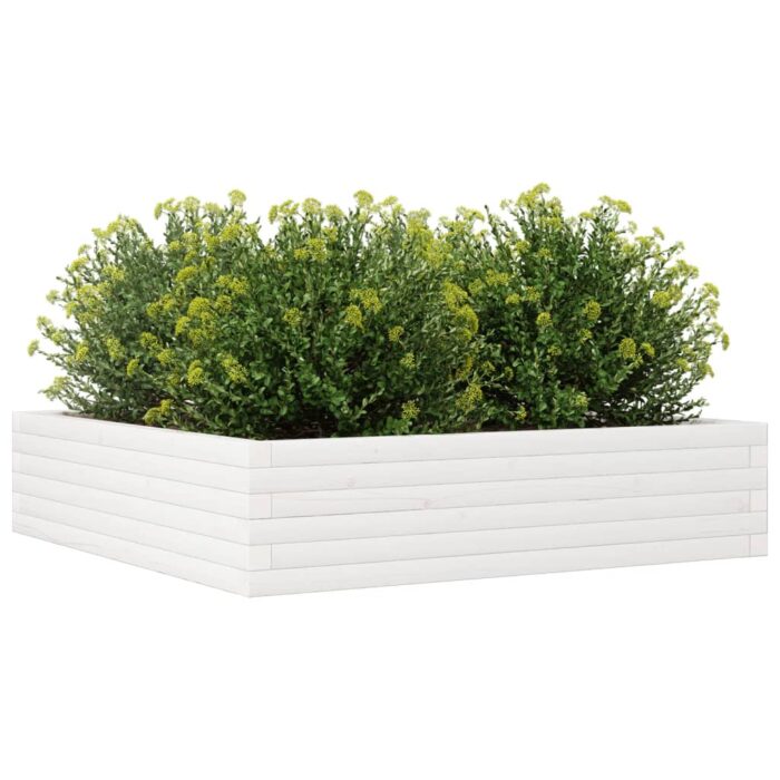 Jardinière blanc 100x100x23 cm bois de pin massif – Image 2