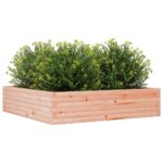Jardinière 100x100x23 cm bois massif de douglas – Image 2