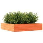 Jardinière cire marron 110x110x23 cm bois de pin massif – Image 2