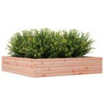 Jardinière 110x110x23 cm bois massif douglas – Image 2