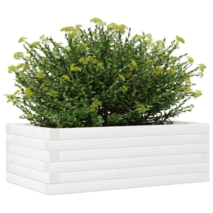 Jardinière blanc 70x40x23 cm bois de pin massif – Image 2