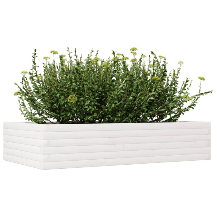 Jardinière blanc 110x60x23 cm bois de pin massif – Image 2