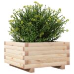 Jardinière 50x50x26,5 cm bois de pin massif – Image 2