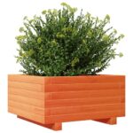 Jardinière cire marron 50x50x26,5 cm bois de pin massif – Image 2
