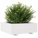Jardinière blanc 70x70x26,5 cm bois de pin massif – Image 2