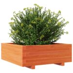 Jardinière cire marron 70x70x26,5 cm bois de pin massif – Image 2
