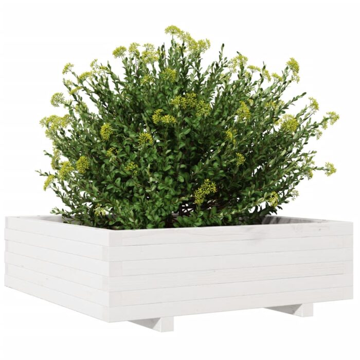 Jardinière blanc 80x80x26,5 cm bois de pin massif – Image 2