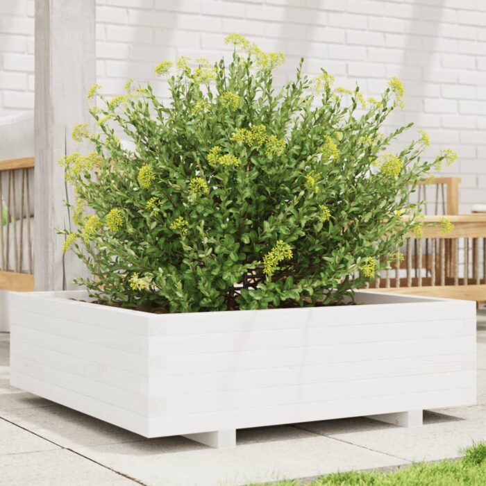 Jardinière blanc 80x80x26,5 cm bois de pin massif – Image 1