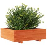 Jardinière cire marron 80x80x26,5 cm bois de pin massif – Image 2