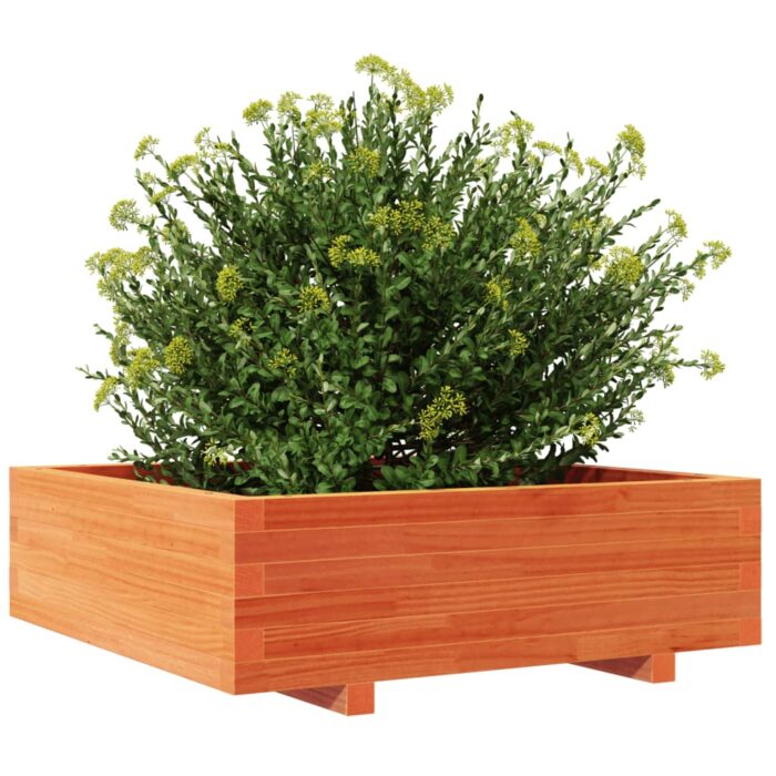 Jardinière cire marron 80x80x26,5 cm bois de pin massif – Image 2