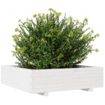 Jardinière blanc 90x90x26,5 cm bois de pin massif – Image 2