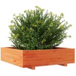 Jardinière cire marron 90x90x26,5 cm bois de pin massif – Image 2