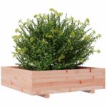 Jardinière 90x90x26,5 cm bois massif douglas – Image 2