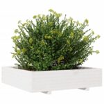 Jardinière blanc 100x100x26,5 cm bois de pin massif – Image 2