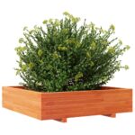 Jardinière cire marron 100x100x26,5 cm bois de pin massif – Image 2