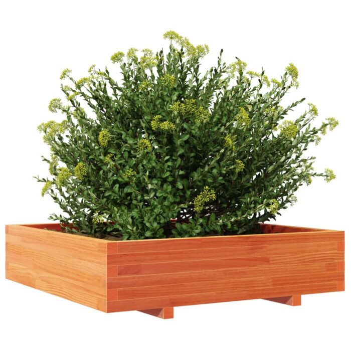 Jardinière cire marron 100x100x26,5 cm bois de pin massif – Image 2