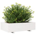 Jardinière blanc 90x60x26,5 cm bois de pin massif – Image 2