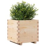 Jardinière 50x50x49,5 cm bois de pin massif – Image 2