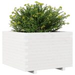 Jardinière blanc 70x70x49,5 cm bois de pin massif – Image 2