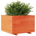 Jardinière cire marron 70x70x49,5 cm bois de pin massif – Image 2
