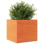 Jardinière cire marron 50x50x46 cm bois de pin massif – Image 2