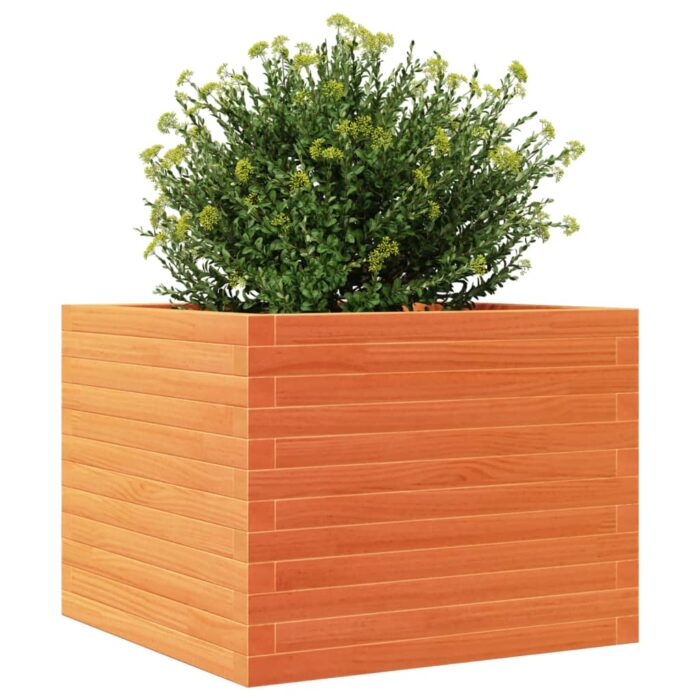 Jardinière cire marron 60x60x46 cm bois de pin massif – Image 2