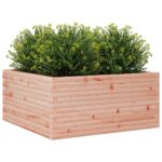 Jardinière 100x100x46 cm bois massif de douglas – Image 2