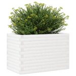 Jardinière blanc 70x40x46 cm bois de pin massif – Image 2